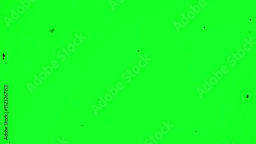 Dust and scratches on green screen