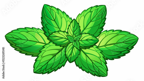 a fresh bunch of mint leaves with vibrant green color on a white isolated background, fragrant and refreshing design White background
