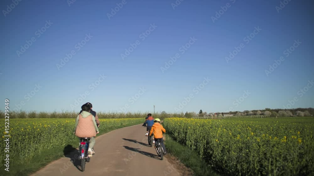 Family bike ride on a flat country road among green fields Family bike ride on a flat country road among green fields