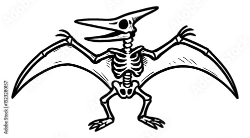 Pterodactyl Skeleton with Wings Outstretched, Open Mouth Black and White Vector Illustration