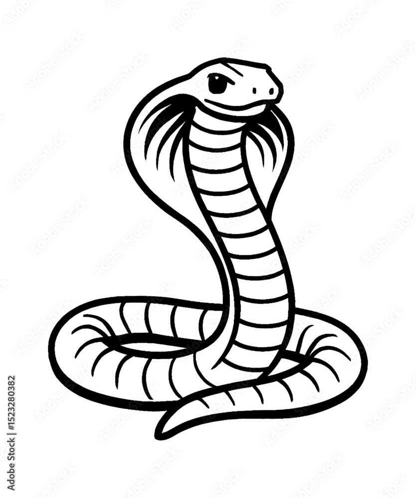 Fototapeta premium Cobra Snake Illustration of Frontal View in Detailed Black and White Outline Line Art Drawing