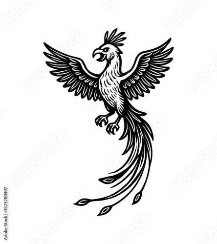 Stylized Drawing of a Phoenix with Wings Spread in Black and White Vector Illustration