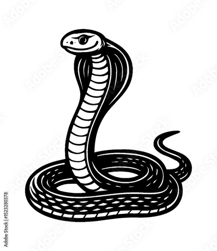 Illustration of a Cobra Snake with Hood in Black and White, vector illustration, wildlife animal