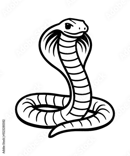 Cobra Snake Illustration of Frontal View in Detailed Black and White Outline Line Art Drawing