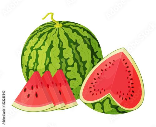 Red watermelon whole, and cut into wedges. Botanical fruit Hand drawn trendy flat style isolated icon on a transparent background. Perfect for card design, print, banner, packaging, label.