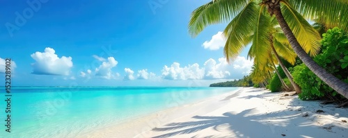 Sun-drenched white sand beach, turquoise water lapping gently at the shore, lush palm trees swaying in the tropical breeze Perfect for relaxation and escape , island, calm, bright