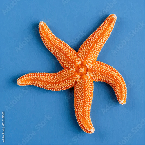 Orange Starfish Isolated on Light Blue Background

