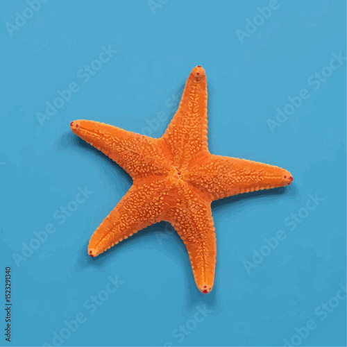 Orange Starfish Isolated on Light Blue Background

