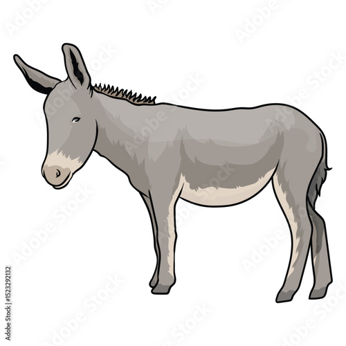 donkey mule vector with separate white background
