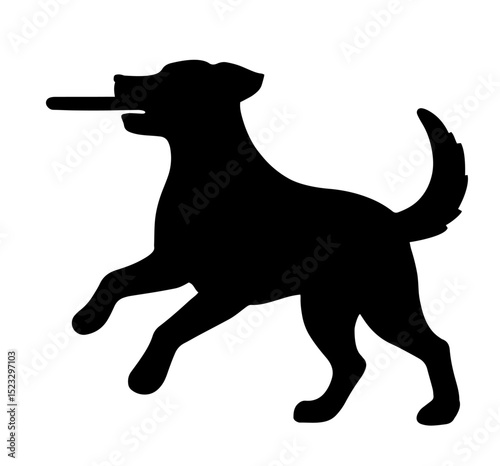 Dog Running with Stick in Mouth – Playful Pet Obeying Fetch Command, Training