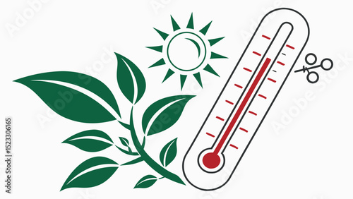 Plant Temperature Measurement with Sun and Leaves