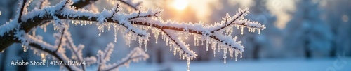 A frost-covered tree branch hangs heavy with ice crystals, glistening in the winter sunlight The cold, crisp air is palpable, hinting at a harsh but beautiful winter landscape , quiet, flora