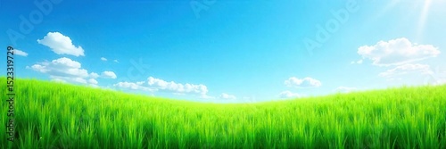 Vibrant, lush green grass under a clear blue sky; perfect for spring, summer, or nature-themed projects A tranquil scene of fresh, natural beauty , sky, pure, summer