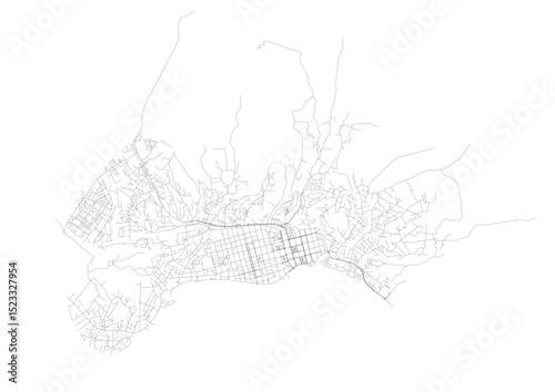 Sukhumi Roadways: Monochromatic Network