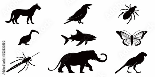 Black silhouettes of diverse fauna: A collection of various black silhouette animal figures, capturing the essence of biodiversity, perfect for design and educational uses