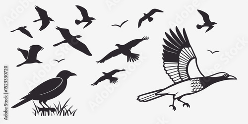 Set of flying and perched bird silhouettes on white background photo