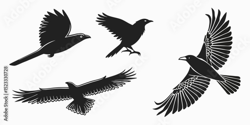 Eagle vector set showing flying bird silhouettes with wings spread in black and white illustration style
