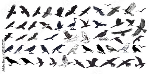Silhouettes of Flying Birds in Various Poses