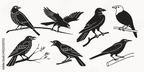 Collection of Bird Silhouettes: A set of meticulously crafted silhouettes showcasing various bird species perched on branches, capturing their unique postures and forms.