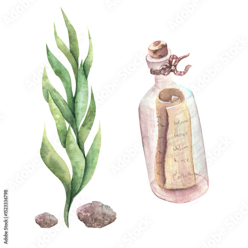 Watercolor seaweed of delicate light green, green color and a bottle with a letter. Marine elements.