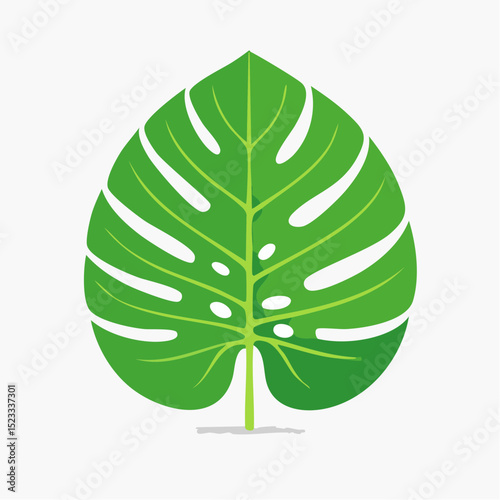A clean icon of a monstera leaf, perfect for botanical and tropical-themed design work