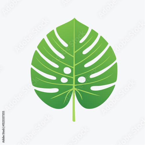 A clean icon of a monstera leaf, perfect for botanical and tropical-themed design work