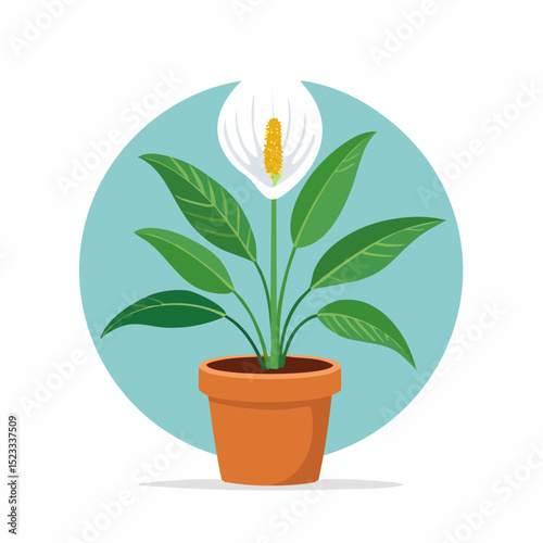 Delicate vector of a peace lily, ideal for wellness, elegance, or calm space design elements