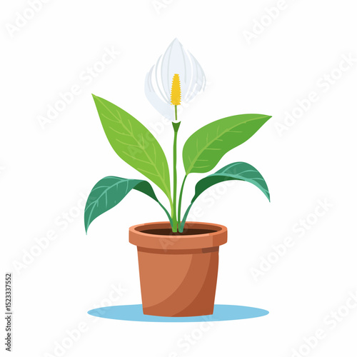 Delicate vector of a peace lily, ideal for wellness, elegance, or calm space design elements
