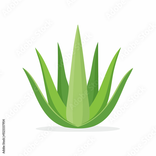 Iconic succulent vector useful for wellness, healing, and natural health branding