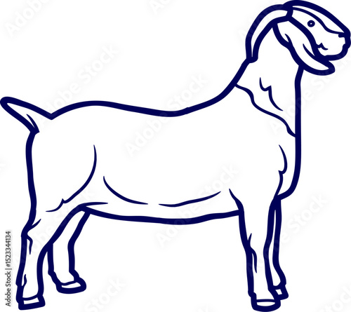 Line art vector of goat on white. Vector illustration of goat isolated on white background. For kids colouring book. new funny goat cute line art and vector art, goat illustration and outline