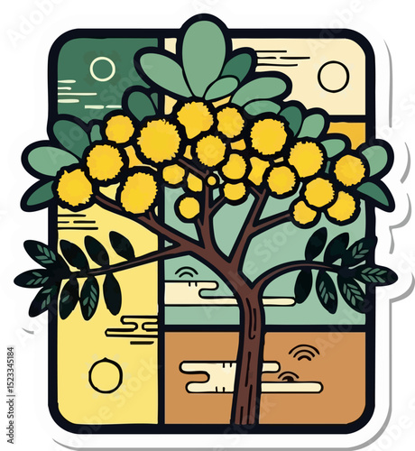 Golden Acacia
