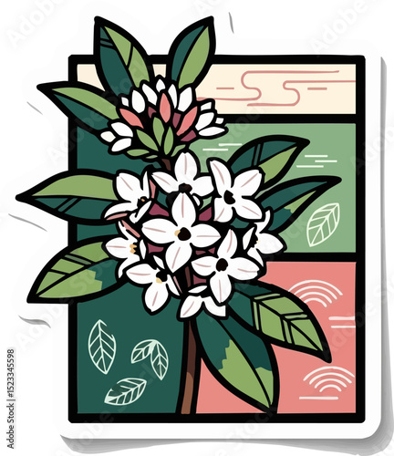 White Daphne