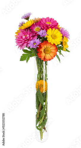 Colorful Bouquet Flowers in...