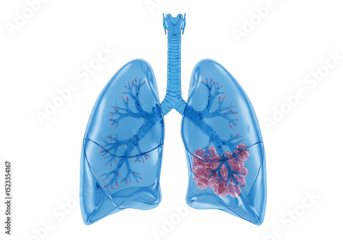 Illustration Of Blue Lungs Anatomy Pulmonary Organ For Medical Health