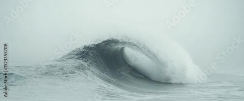 Large ocean wave curling in the water, a hazy, monochromatic scene