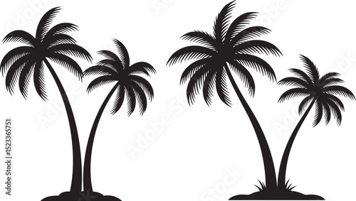 Coconut tree tropical plant silhouette vector illustration