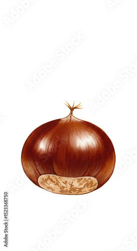 Illustration of Brown Chest...