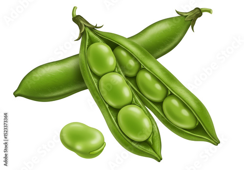 Illustration of Fresh Green...