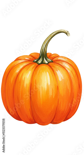 Illustration of Ripe Orange...