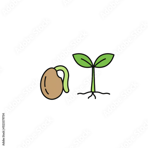 Illustration of Seed to Spr...