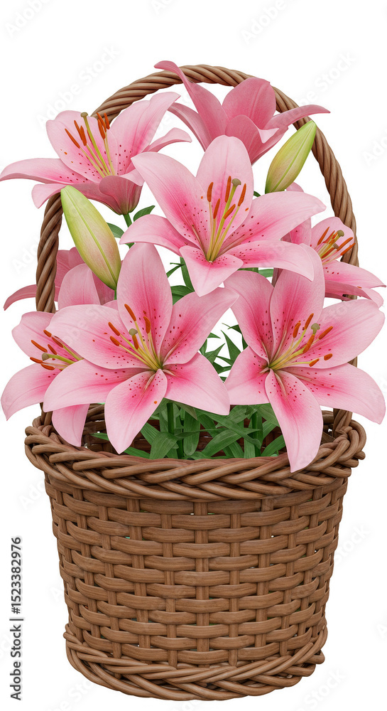 Obraz premium Illustration Pink Lily Bouquet in Wicker Basket with Transparent Background