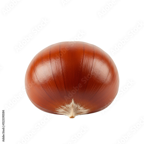 Isolated Chestnut Nut on Tr...