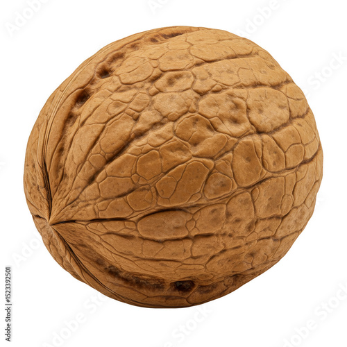Isolated Detailed Walnut Cl...