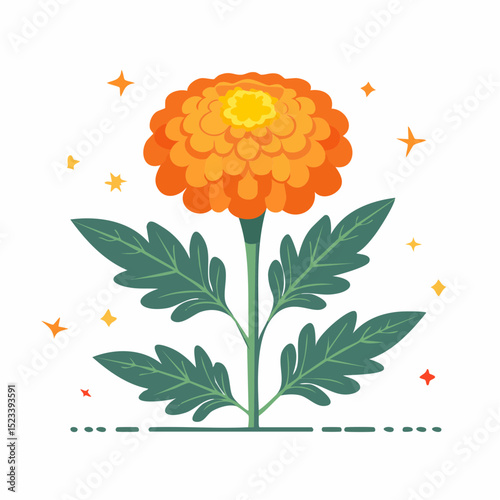 Clean and simple vector illustration of a blooming marigold, perfect for garden-themed design projects