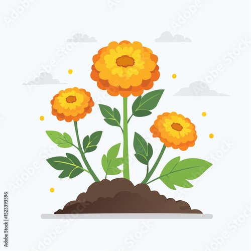 Clean and simple vector illustration of a blooming marigold, perfect for garden-themed design projects