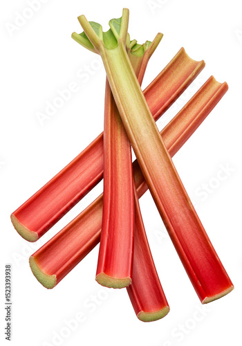 Isolated Fresh Raw Red Rhub...