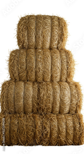 Isolated Gold Tinsel Christ...