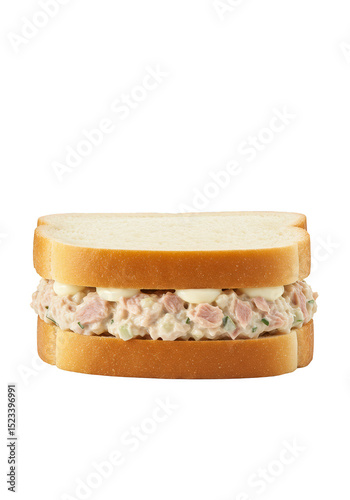 Isolated Image of Ham Salad...