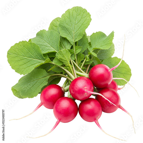 Isolated Png of Fresh Radis...