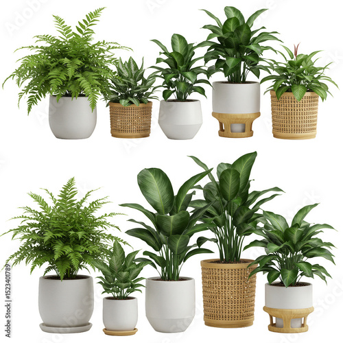 Isolated Potted Green Plant...